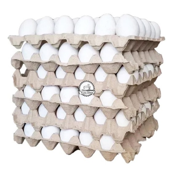 Huevos Extra Blanco Bandeja